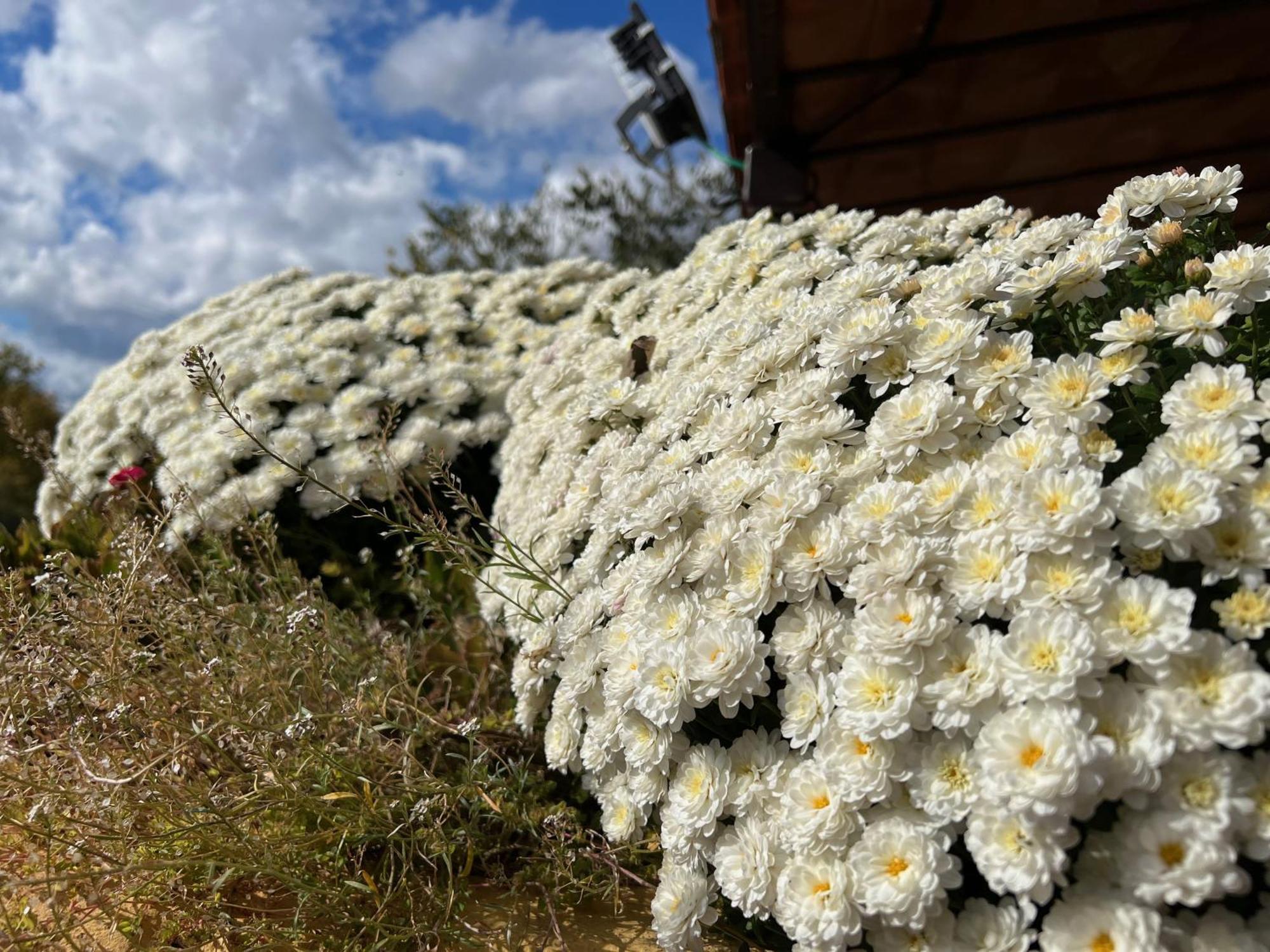 Les Vinyes Alojamiento Rural Boutique & Spa Vilardida Εξωτερικό φωτογραφία
