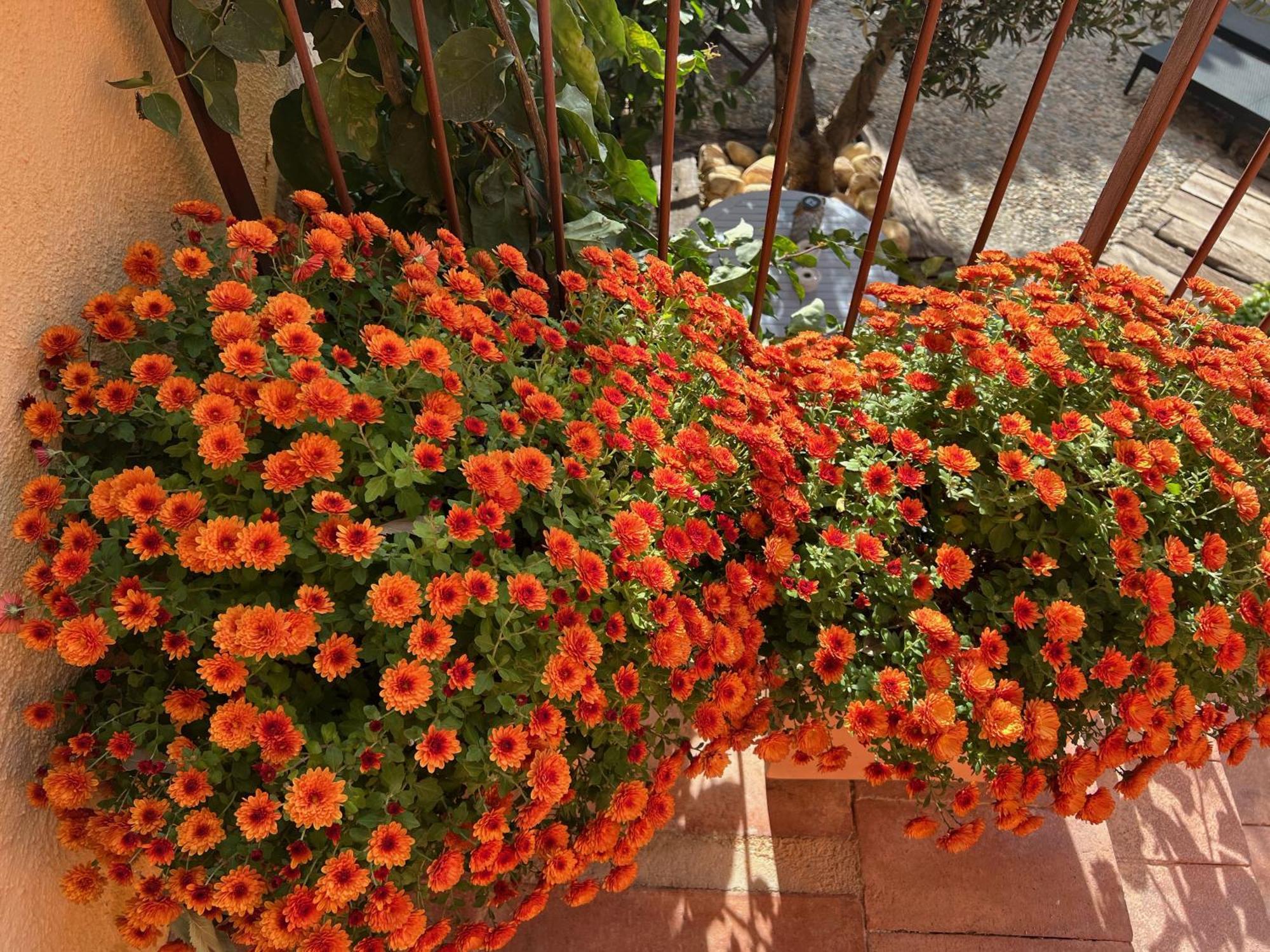 Les Vinyes Alojamiento Rural Boutique & Spa Vilardida Εξωτερικό φωτογραφία